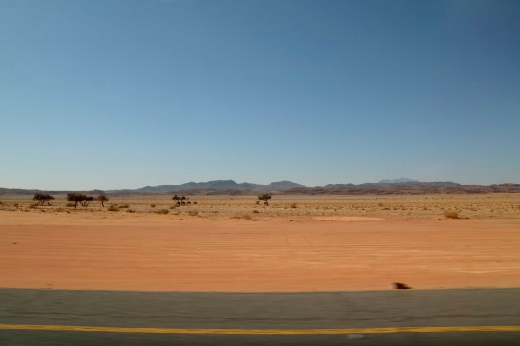 saoedi arabië 2025 11 06 (23)